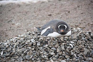 《绝地潜兵2》厂商CEO发文：我并不擅长这个游戏